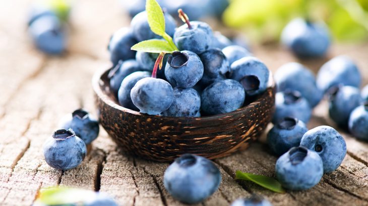 blueberries_offer_a_wide_variety_of_remarkable_health_benefits_730x410.jpg